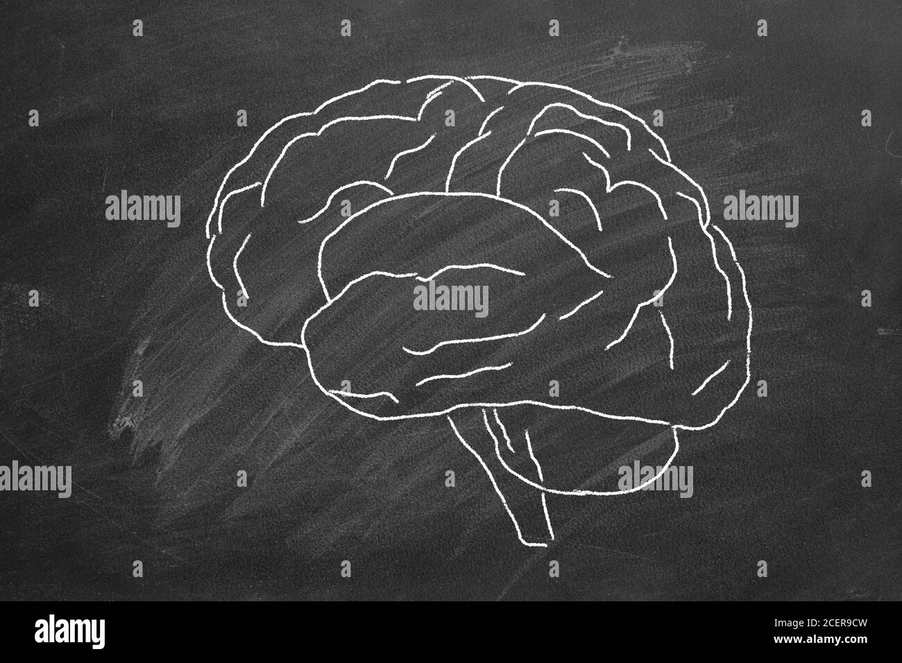 Gesso ha disegnato il cervello umano su una lavagna. Foto Stock