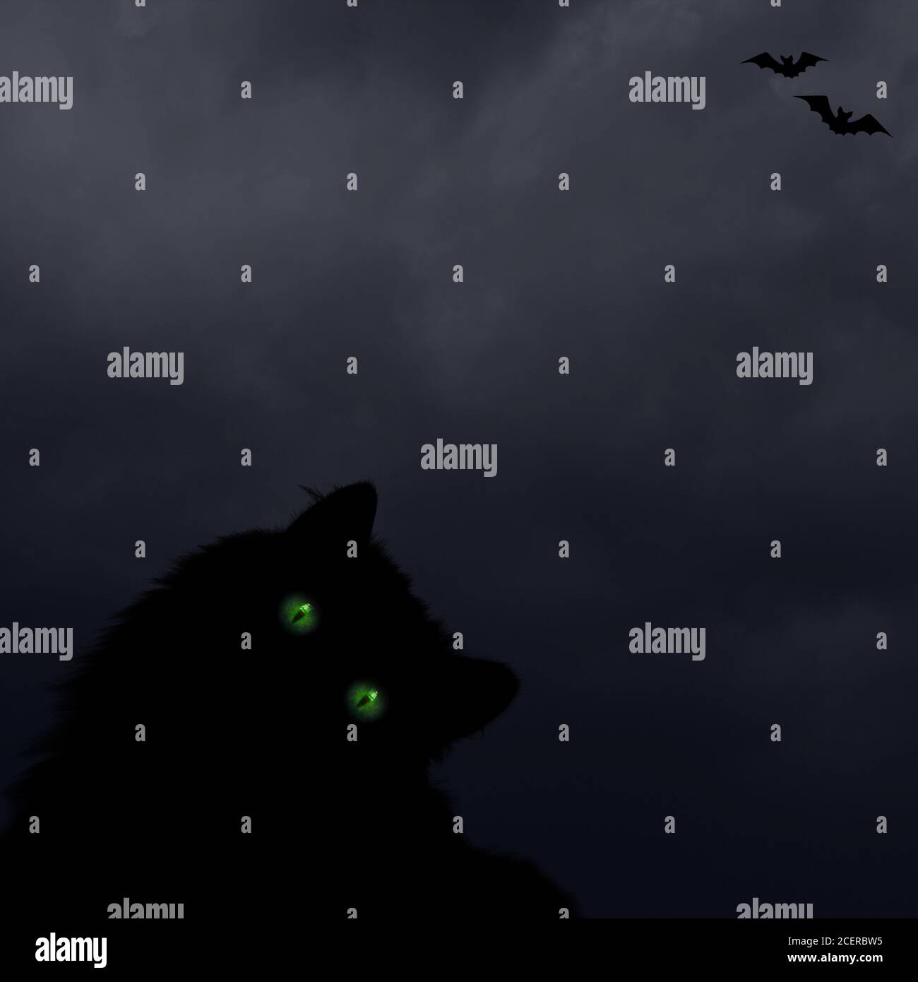 Halloween sfondo orizzontale con gatto nero con occhi verdi, silhouette di pipistrelli su notte oscura cielo nuvoloso. Halloween, orrore e decorazione Foto Stock