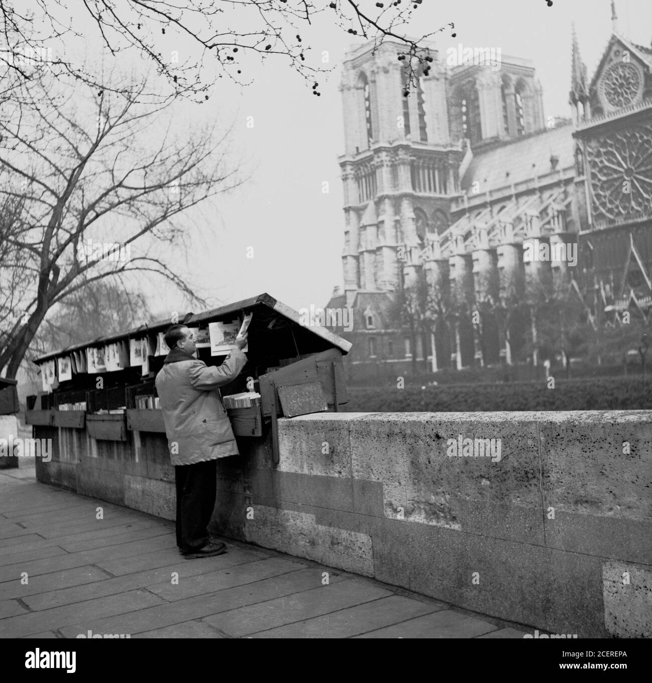 Degli anni Cinquanta, Parigi, Francia, la gente cerca attraverso il 'Libro caselle del 'Les bouquinistes", il piccolo libro di venditori di usato e antiquariato libri sulla riva della Senna. Foto Stock