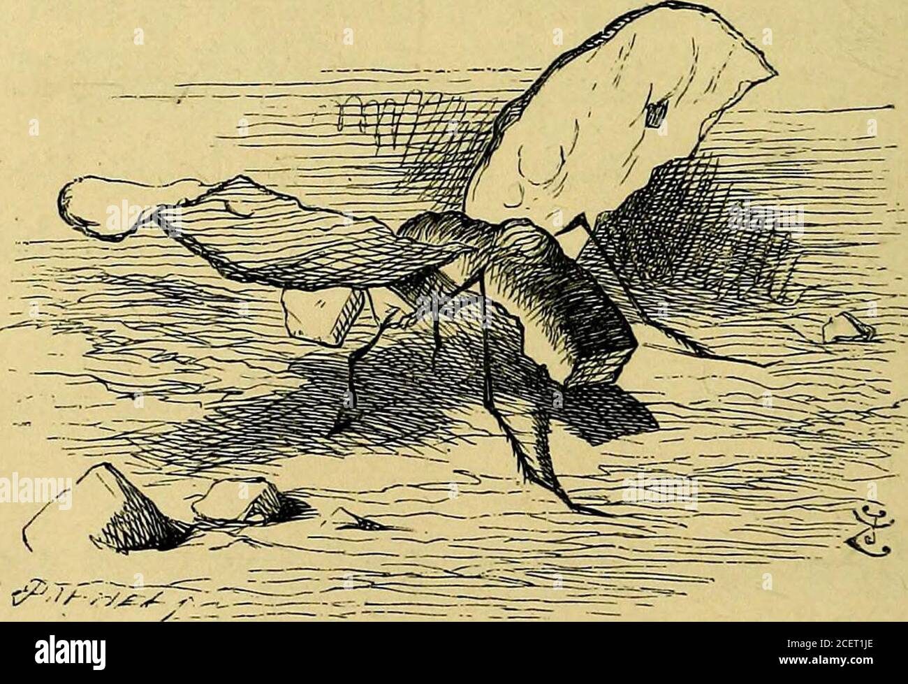 . Attraverso il vetro che guarda : e quello che Alice ha trovato là. È stato appena riverniciato, sembrava così luminoso andsticky; e poi ha continuato. E theres il Dragon-fly. Guarda il ramo sopra la tua testa / saidthe Gnat, e lì 11 trovare uno Snap-dragon-fly. Il suo corpo è fatto di pudding di prugne, le sue ali di foglie di agrifoglio, e la sua testa è un acquy di burningin di uva passa. E su che cosa vive ? Alice chiese, prima. Frumenty e mince-pie, il Gnat ha risposto e fa il relativo nido in una scatola di Natale. 58 INSETTI OSSERVANTI-VETRO. E poi theres la Butterfly, Alice wenton, dopo aver dato un buon sguardo agli in-s. Foto Stock