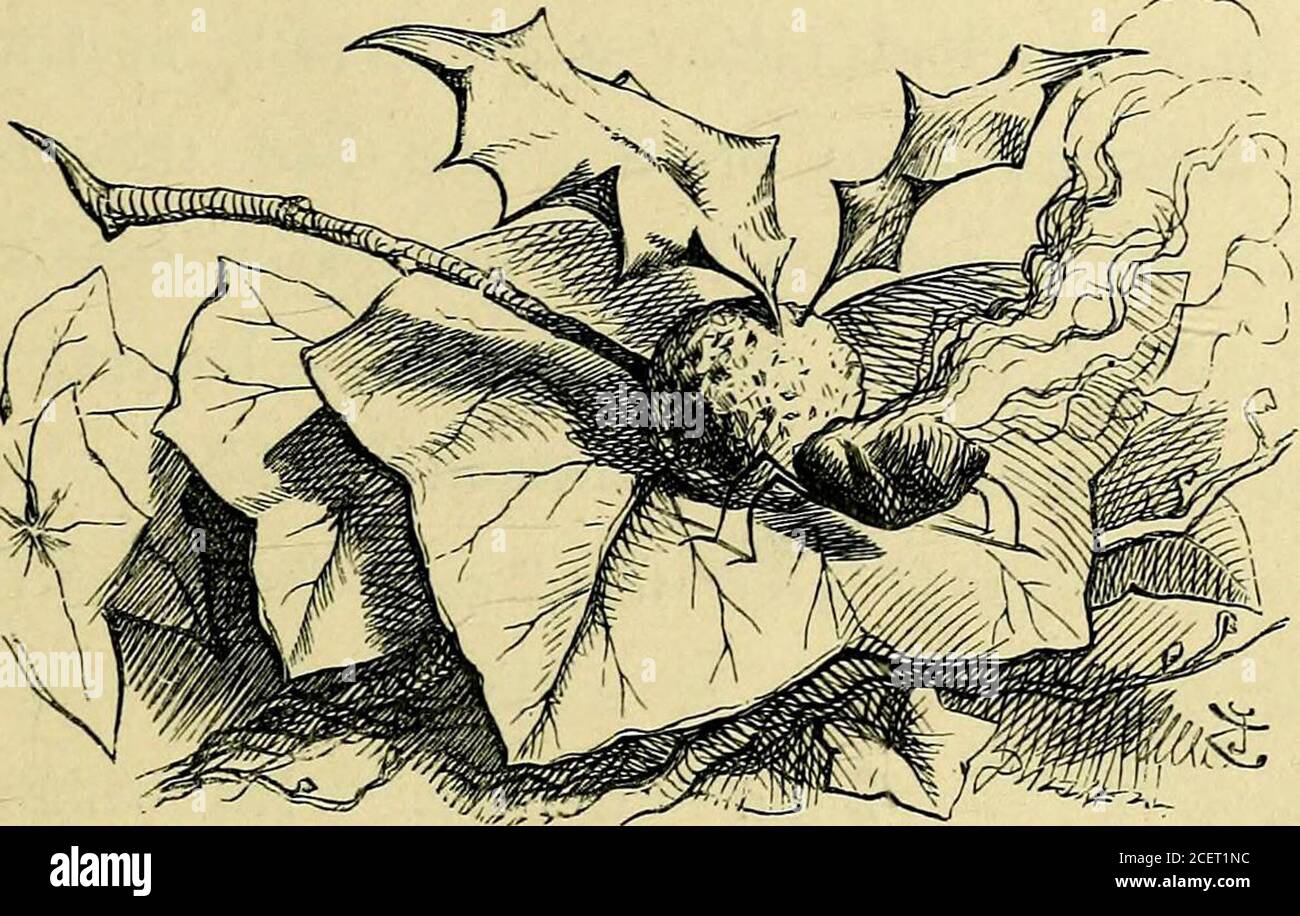 . Attraverso il vetro che guarda : e quello che Alice ha trovato là. Su cosa vive ? Alice chiese, con grande curiosità. SAP e segatura, ha detto il Gnat. Andare con l'elenco. Alice guardò la mosca eocking-Horse con grande interesse, e fece la sua mente che doveva avere INSETTI OSSERVANTI-VETRO. 57. appena ridipinato, sembrava così luminoso e appiccicoso, e poi continuò. E theres il Dragon-fly. Guarda il ramo sopra la tua testa / saidthe Gnat, e lì 11 trovare uno Snap-dragon-fly. Il suo corpo è fatto di pudding di prugne, le sue ali di foglie di agrifoglio, e la sua testa è un acquy di burningin di uva passa. E che cosa Foto Stock