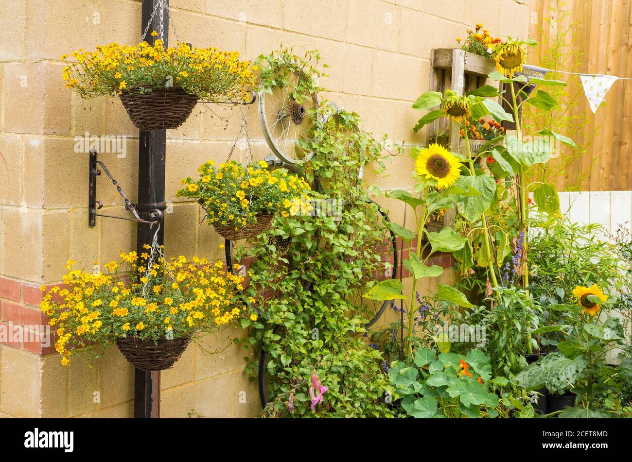 Un piccolo giardino floreale in un angolo stretto vicino a. supermercato piantato e mantenuto dallo sforzo del personale per mostrare un contributo alla natura adatto alle api Foto Stock