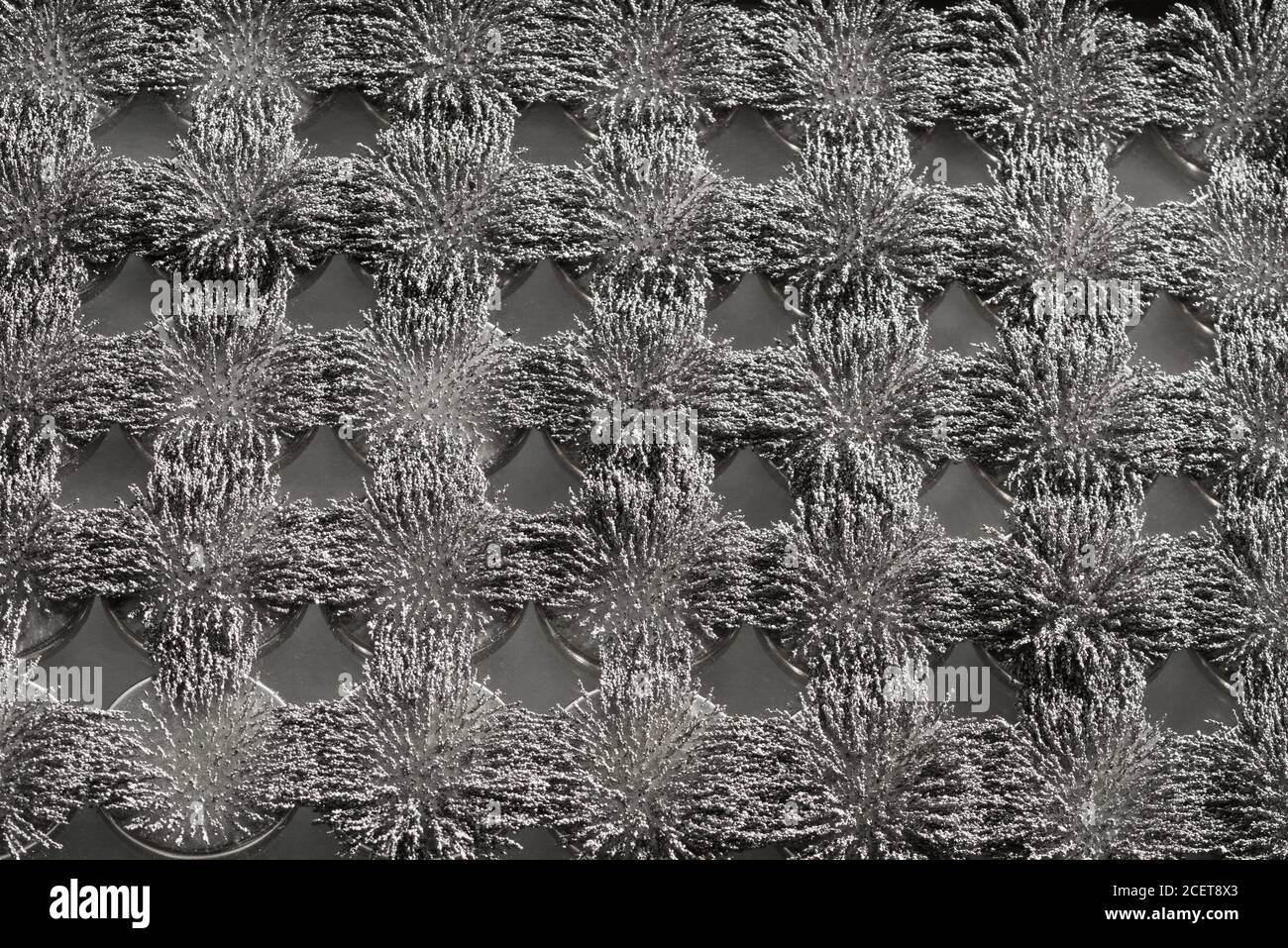 Flusso magnetico invisibile reso visibile con limature di ferro che creano interessanti schemi di interblocco con magnete circolare Foto Stock