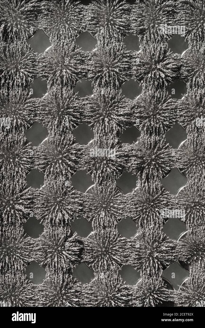 Flusso magnetico invisibile reso visibile con limature di ferro che creano interessanti schemi di interblocco con magnete circolare Foto Stock