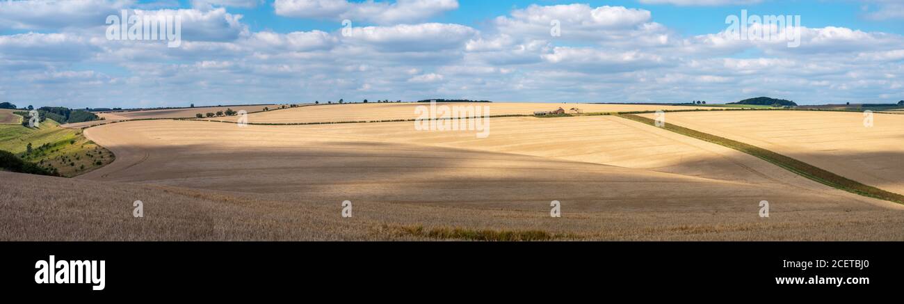 Vista panoramica colorata sulle colline ondulate e sui campi di grano in una giornata soleggiata con nuvole bianche. Foto Stock
