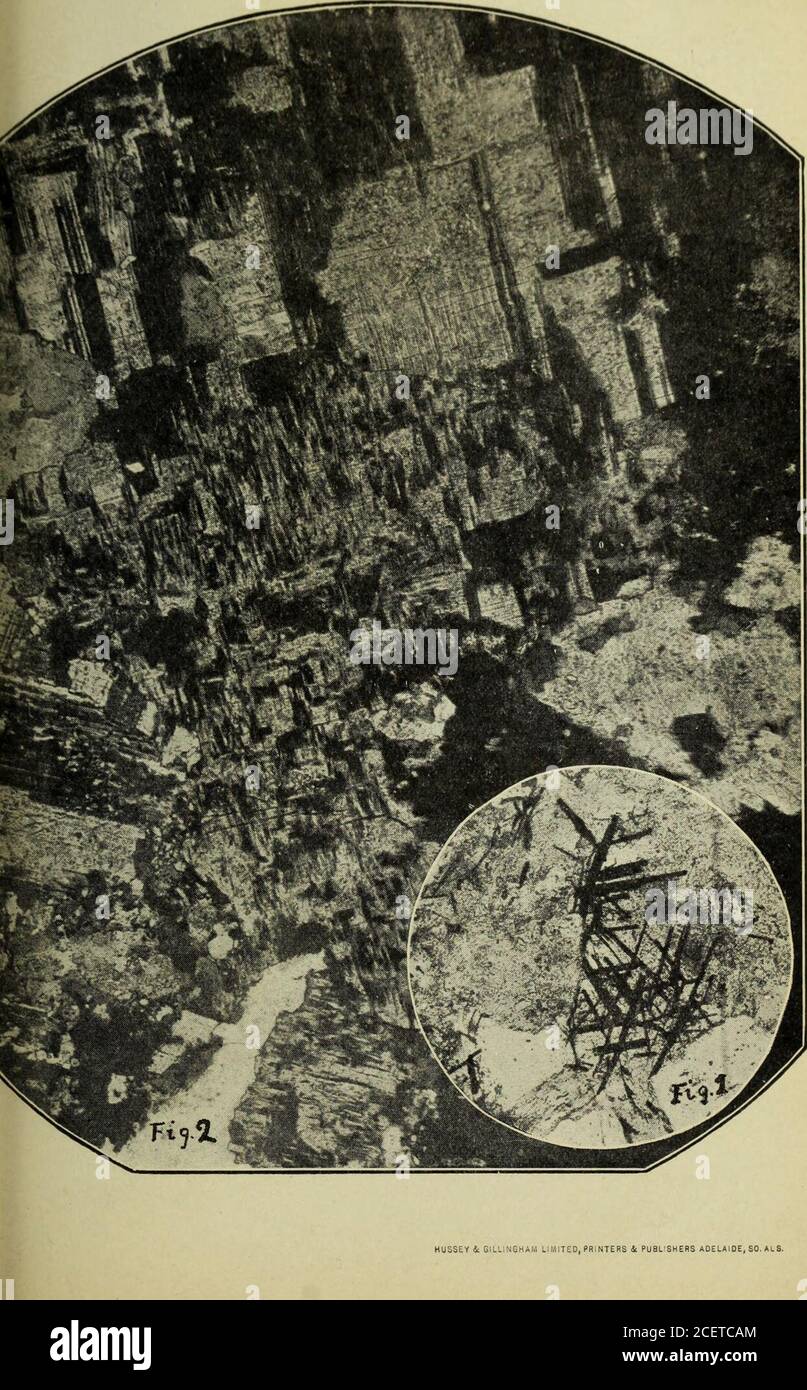 . Transazioni e procedimenti e rapporto della Società filosofica di Adelaide, Australia Meridionale. HUSSEY & GlLLINGHAM LIMITED, RHINTERS & PUBLISHER Adelaide, SO. A US. INS. E Proo. Hoy. SoC. S. Austr Vol MAW, piastra XWI. 341 nietainorfismo liad già effettuato prima dell'intrusione, in sintonia con l'opinione che il metamorfismo regionale sia stato indotto nel periodo di massima intensità di foldover, e che le intrusioni ignee, mentre direttamente correlate ai movimenti orogenici, sono state sviluppate alla chiusura del periodo di tefolding, quando il movimento era di una grande e relativelysimple tà Foto Stock
