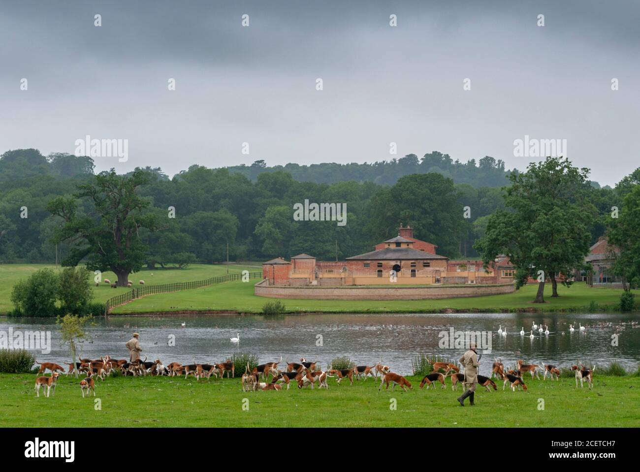 Belvoir, Lincolnshire, Regno Unito - il Belvoir Foxhounds dentro dal Belvoir Hunt Kennels e dal lago Foto Stock