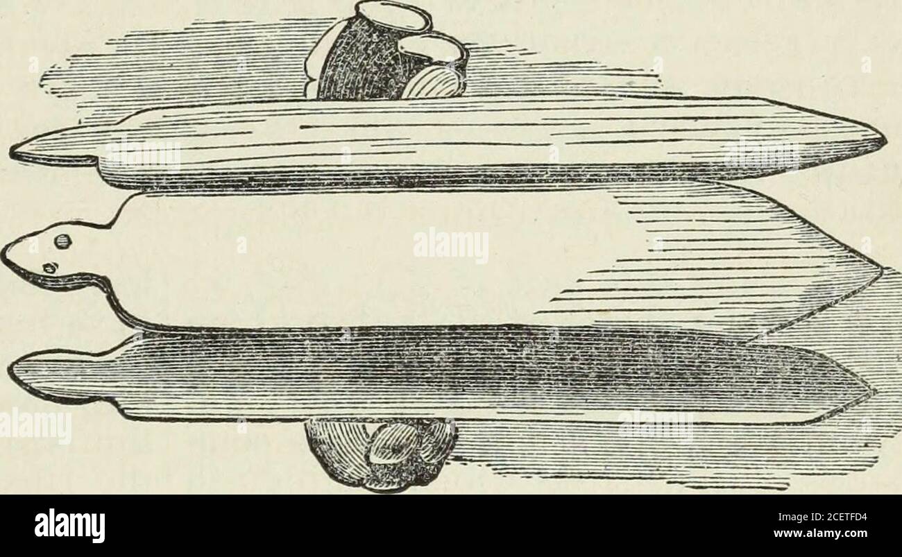 . Le razze incivilizzate degli uomini in tutti i paesi del mondo, essendo un resoconto completo delle loro maniere e dei loro costumi e delle loro caratteristiche fisiche, sociali, mentali, morali e religiose. Di Rev. J. G. Wood... Con nuovi progetti di Angas, Danby, Wolf, Zwecker... 1871. ed, muovendosi silenziosamente e maestosamente intorno come le correnti di mare hanno spostato quelli lungo cui theywere le immagini. Oltre a tutto questo c'era un muro d'acqua, così apparve, ben oltre l'orizzonte apparente. Questo wallpareva vivo con allegri ballerini di personaggi temostici fantastici che l'immaginazione poteva concepire, ed esso Foto Stock