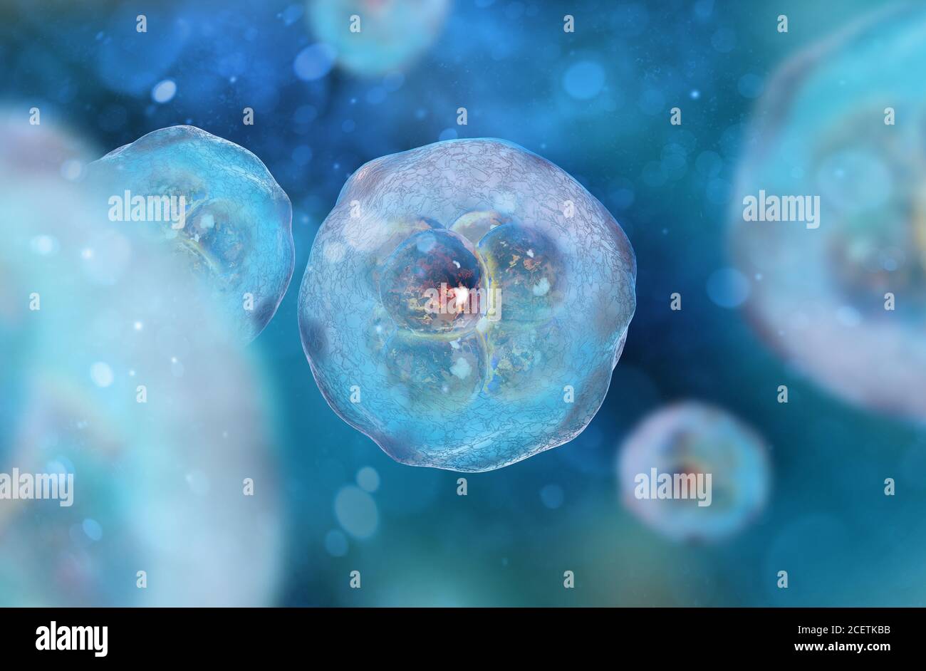 Cellule al microscopio. Ricerca sulle cellule staminali. Terapia cellulare. Divisione cellulare. illustrazione 3d Foto Stock