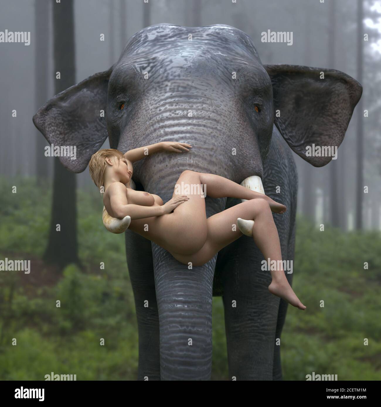 elephant porta una giovane donna Foto Stock