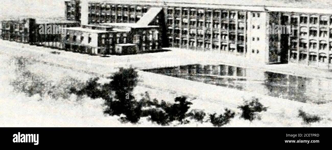 . Lawrence ieri e oggi (1845-1918) una storia concisa di Lawrence Massachusetts - le sue industrie e istituzioni; statistiche comunali e una varietà di informazioni riguardanti la città. s.inoltre fa una specialità di alta qualità mercerized filati. Mercer-izing è una caratteristica importante dell'azienda. Il processo aggiunge un filo di cotone lustro, lo rafforza e lo rende simile alla seta. La società x^r-lington è stata un pioniere in questo processo di produzione, che è stato sviluppato ad un grado straordinario di efficienza nello stabilimento di Acadia. I filati sono consegnati al commercio di matasse, coni, t Foto Stock