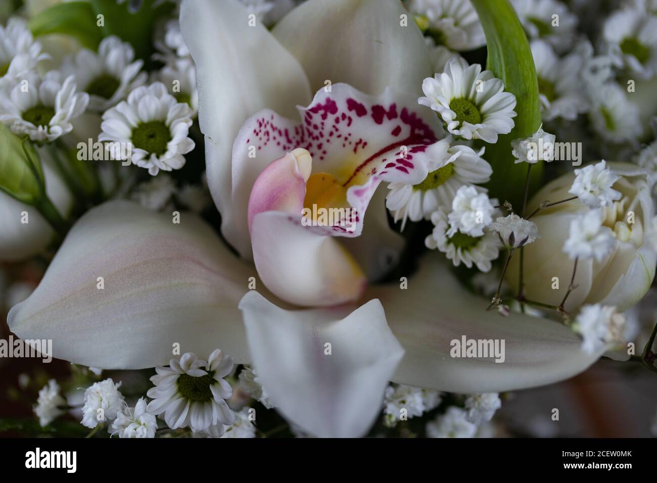 Primo piano, bouquet di fiori macro con orchidee e fiori bianchi. Comunione Santa, matrimonio. Foto Stock