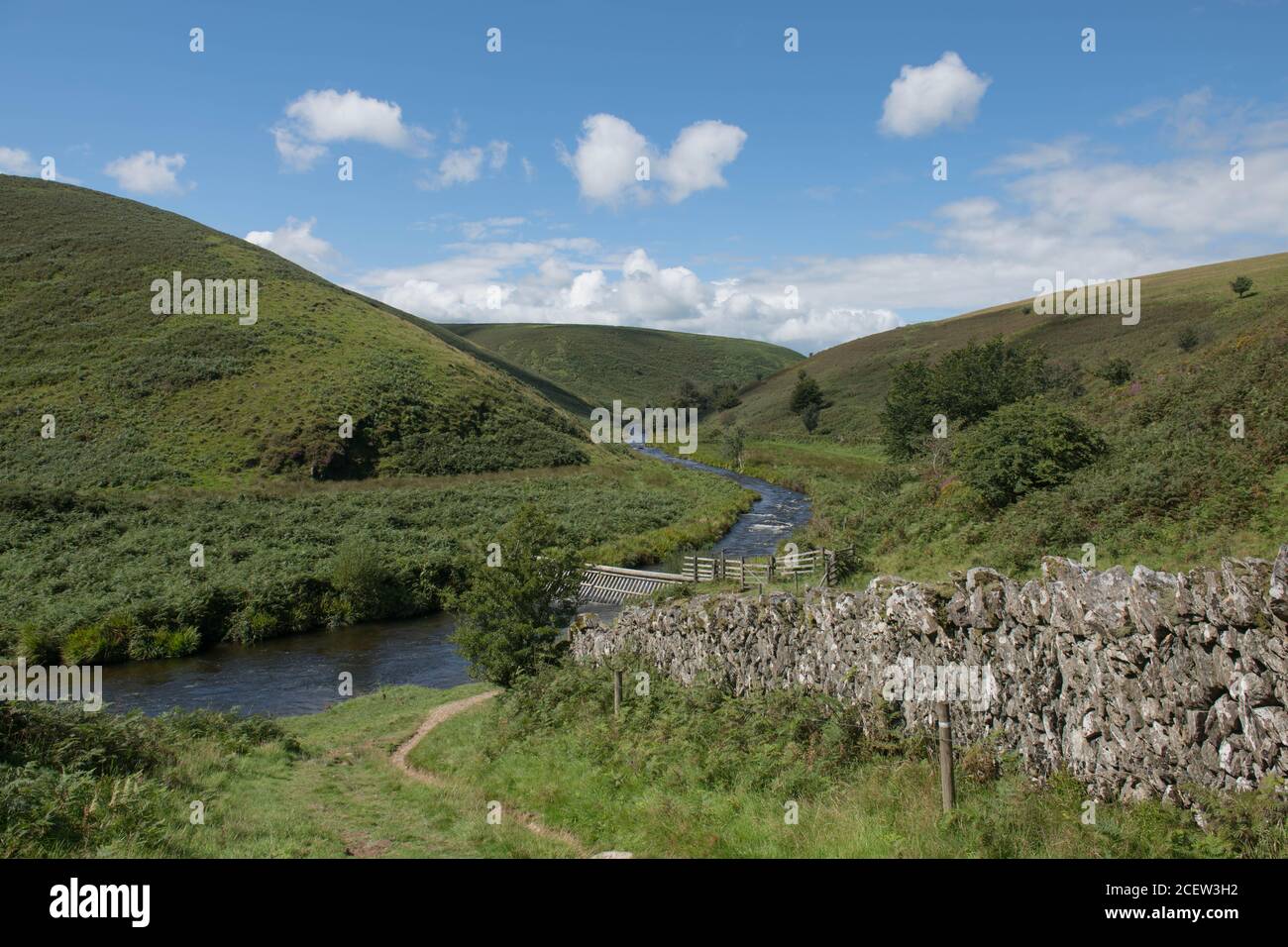 Flood Defence sul fiume Barle a Simonswath all'interno del Parco Nazionale di Exmoor con un luminoso sfondo di cielo nuvoloso blu nel Somerset Rurale, Inghilterra, Regno Unito Foto Stock