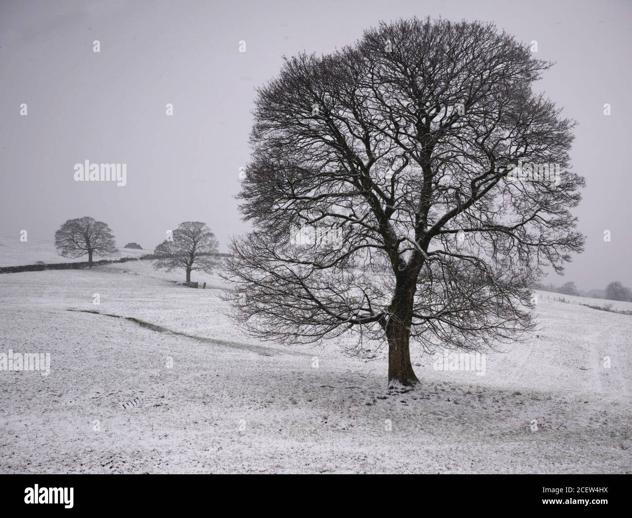 Una scena innevata Hill Lane, Burnley, Lancashire. Inverno. Foto Stock