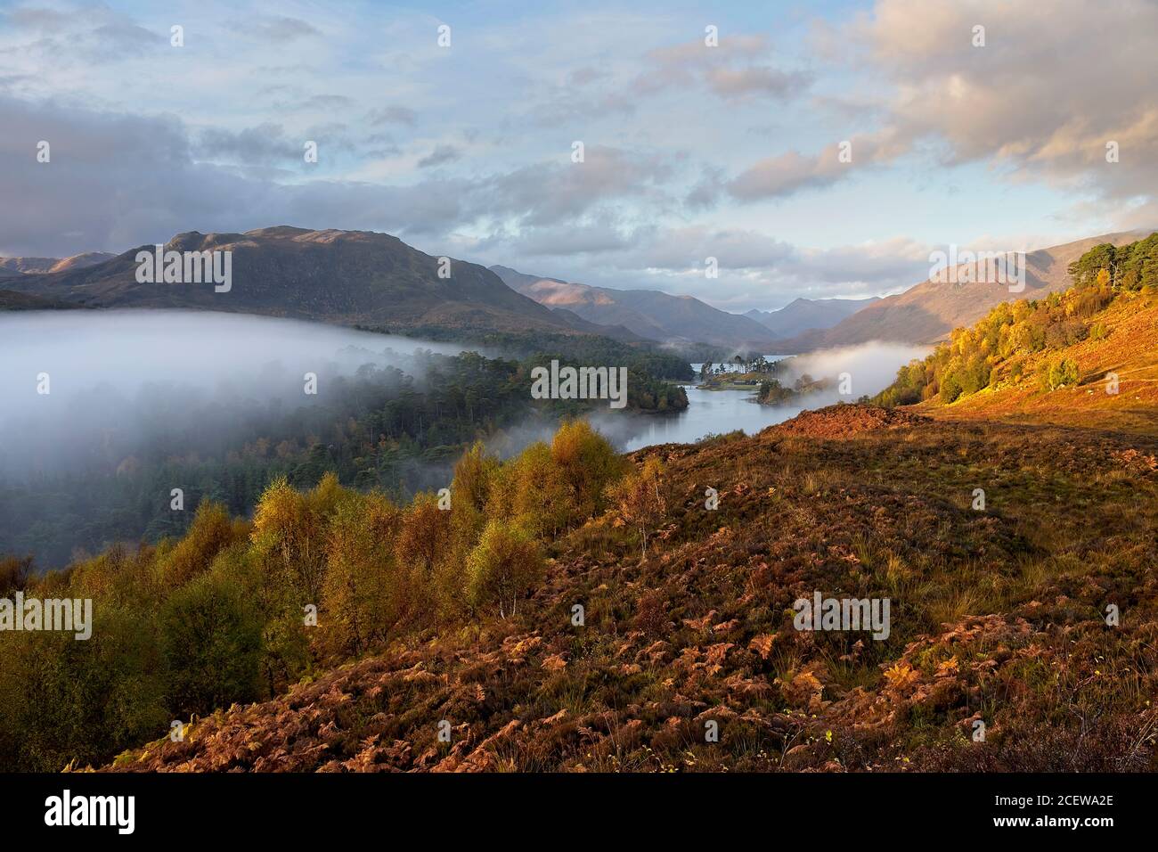 Glen Affric vicino al villaggio di Cannich nelle Highlands Regione della Scozia Foto Stock