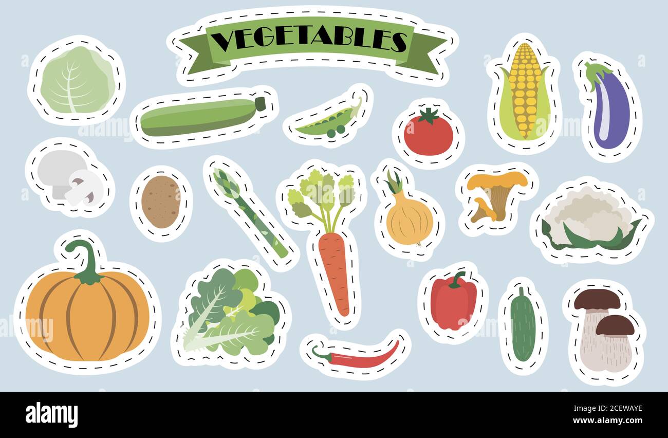 Set di funghi vettoriali piatti e verdure. Adesivi luminosi con l'immagine di graziosi prodotti vegetali estivi in stile cartone animato. Una serie di prodotti alimentari sani isolati. Illustrazioni per un negozio di alimentari, banner, giardinaggio, ristorante, o menu. Illustrazione Vettoriale