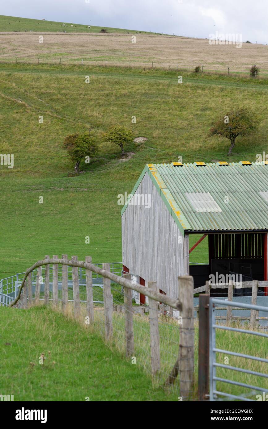 Sezione di recinzione e di edifici agricoli nel South Downs National Park, Steyning Bowl, West Sussex, Regno Unito Foto Stock