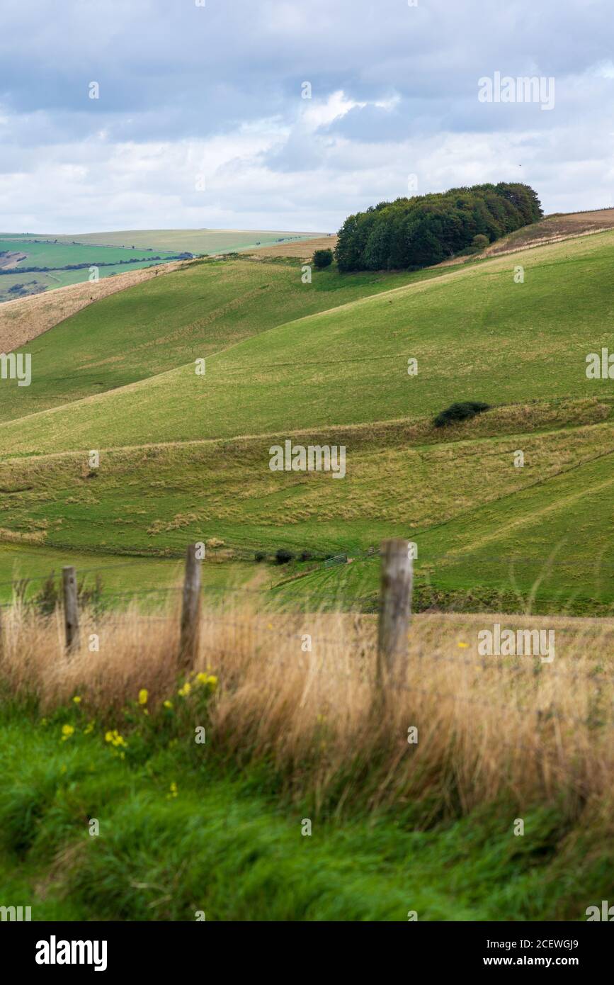 Colline ondulate nel South Downs, Steyning Bowl, West Sussex, Regno Unito Foto Stock