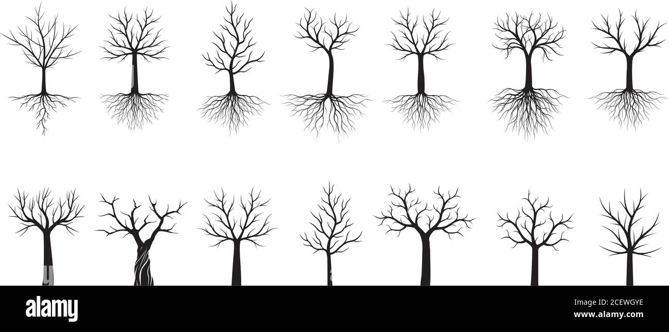 Impostare alberi neri con radici. Illustrazione del contorno vettoriale. Pianta in Giardino. Illustrazione Vettoriale