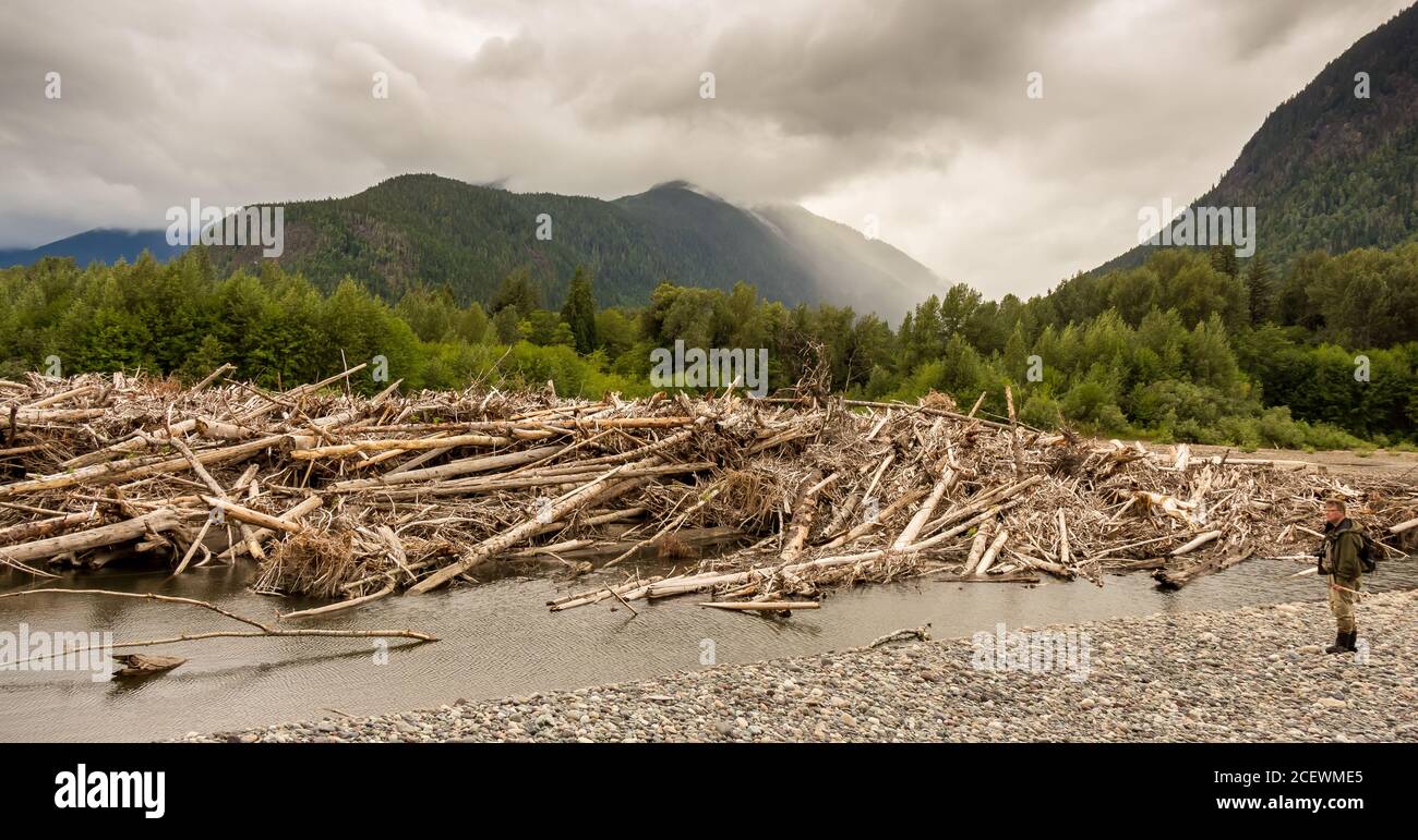 Un uomo che si trova accanto a una grande marmellata di tronchi su un fiume nella Columbia Britannica, in Canada, con boschi e montagne sullo sfondo Foto Stock