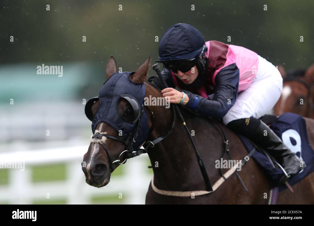 Saffie Osborne a bordo di Jupiter sulla loro strada per vincere il Betway apprendista handicap al Lingfield Park Racecourse. Foto Stock