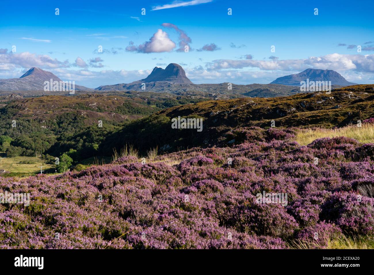 Vista delle montagne nella regione di Assynt Coigach delle Highlands scozzesi, Scozia, Regno Unito Foto Stock