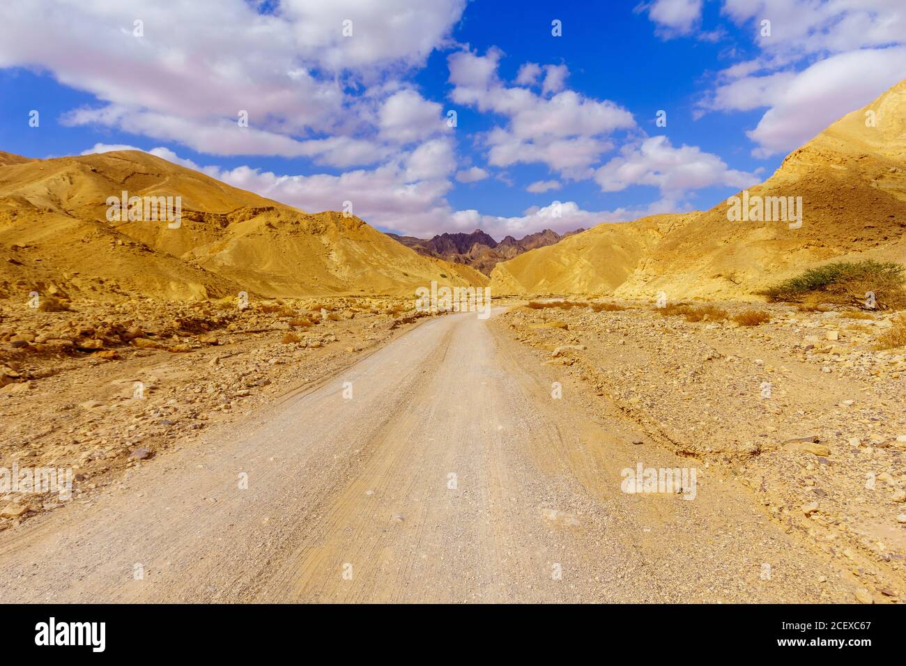Vista di Nahal Amram (valle del deserto) e del paesaggio desertico di Arava, Israele meridionale Foto Stock