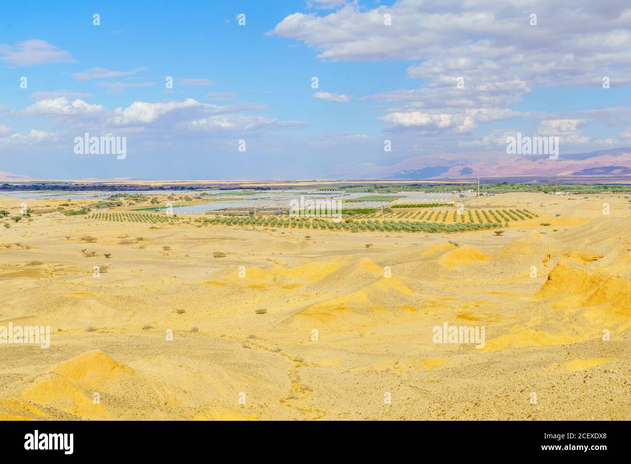 Paesaggio desertico nella Riserva Naturale di Sheizaf, il deserto di Arava, Israele meridionale Foto Stock