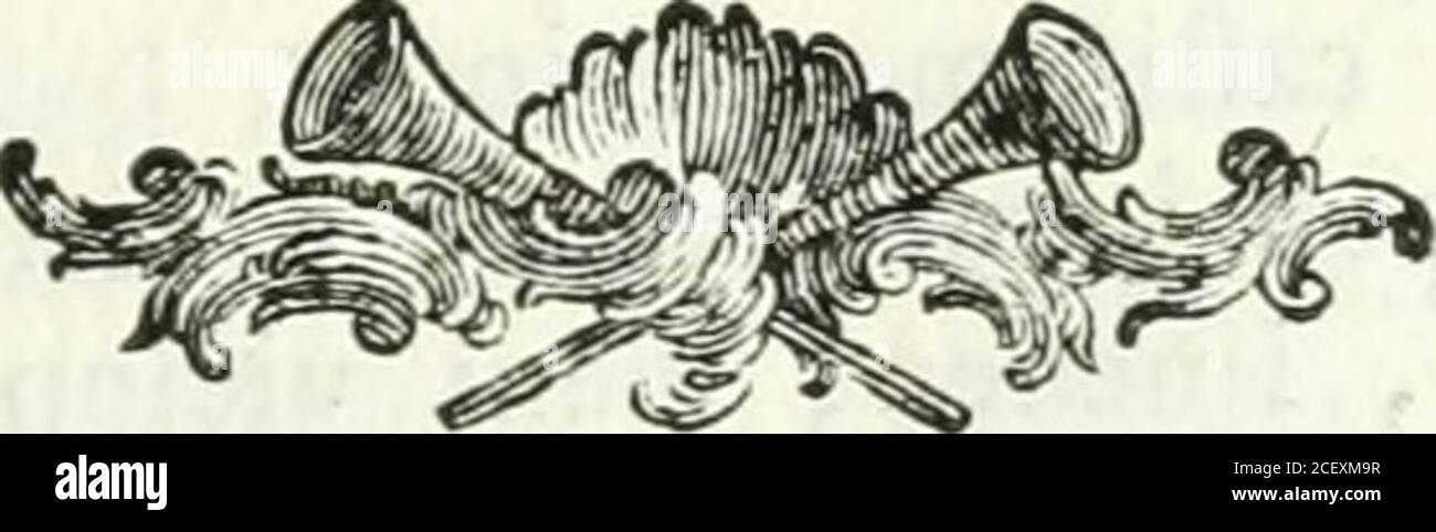 . Componenti poetici per le felicissime nozze dell'Eccellenza loro il signor Niccolò Michieli e la signora Elisabetta Gradenigo. Questo torto divien bella, e feconda! Come per opra del novello Inneflo D altres s ammanta più leggiadre fpoglie !. Così bella e gentile fia che germoglio la Voftra, o sposi, fu lAdriaca fpondaPria fleril Pianta 3 e un chiaro efempio è quel B 3 D e L ^ XVIII ^ Foto Stock
