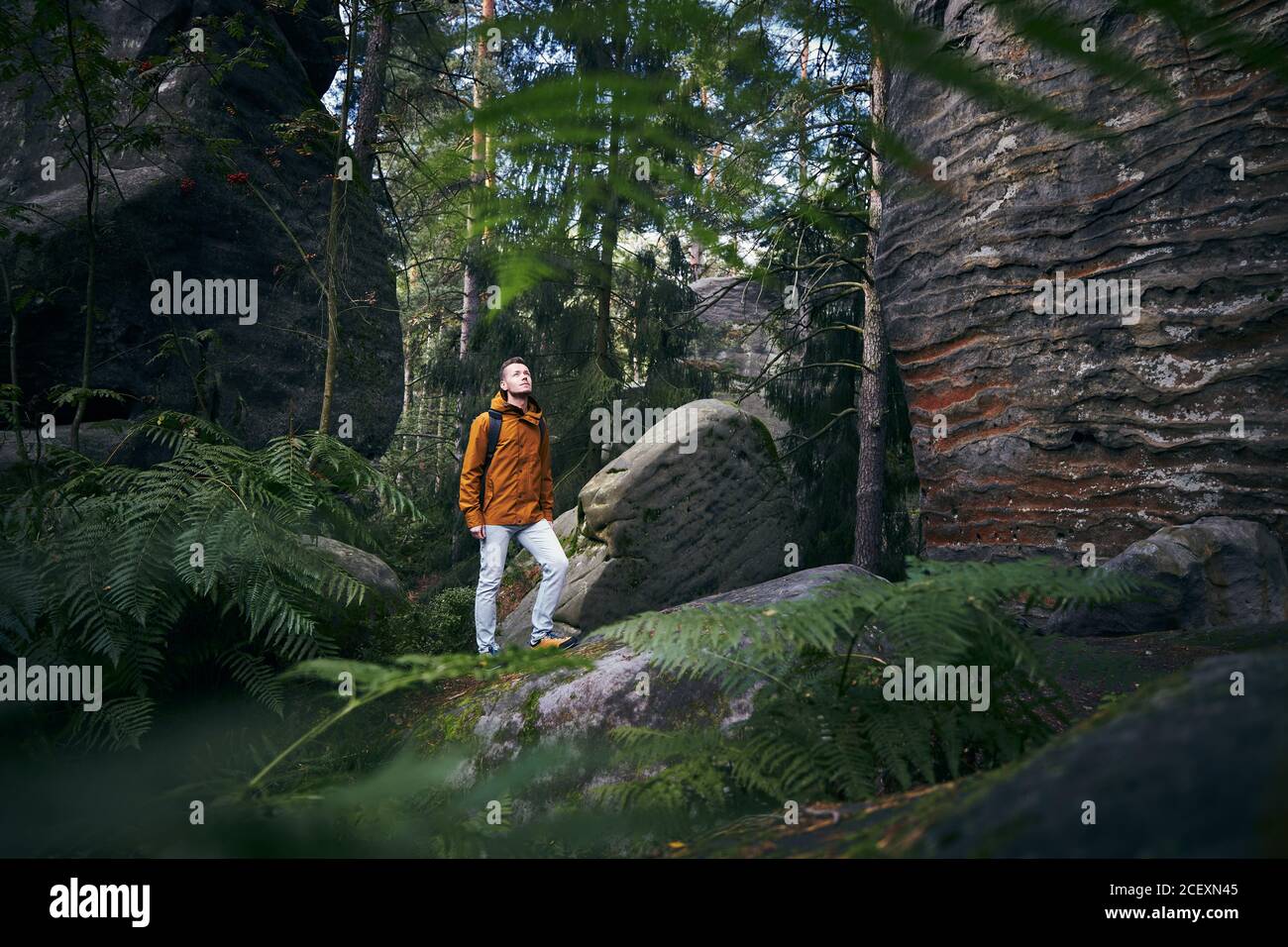 Giovane uomo trekking nel mezzo delle rocce. Mala Skala nel paradiso bohemien, Repubblica Ceca. Foto Stock