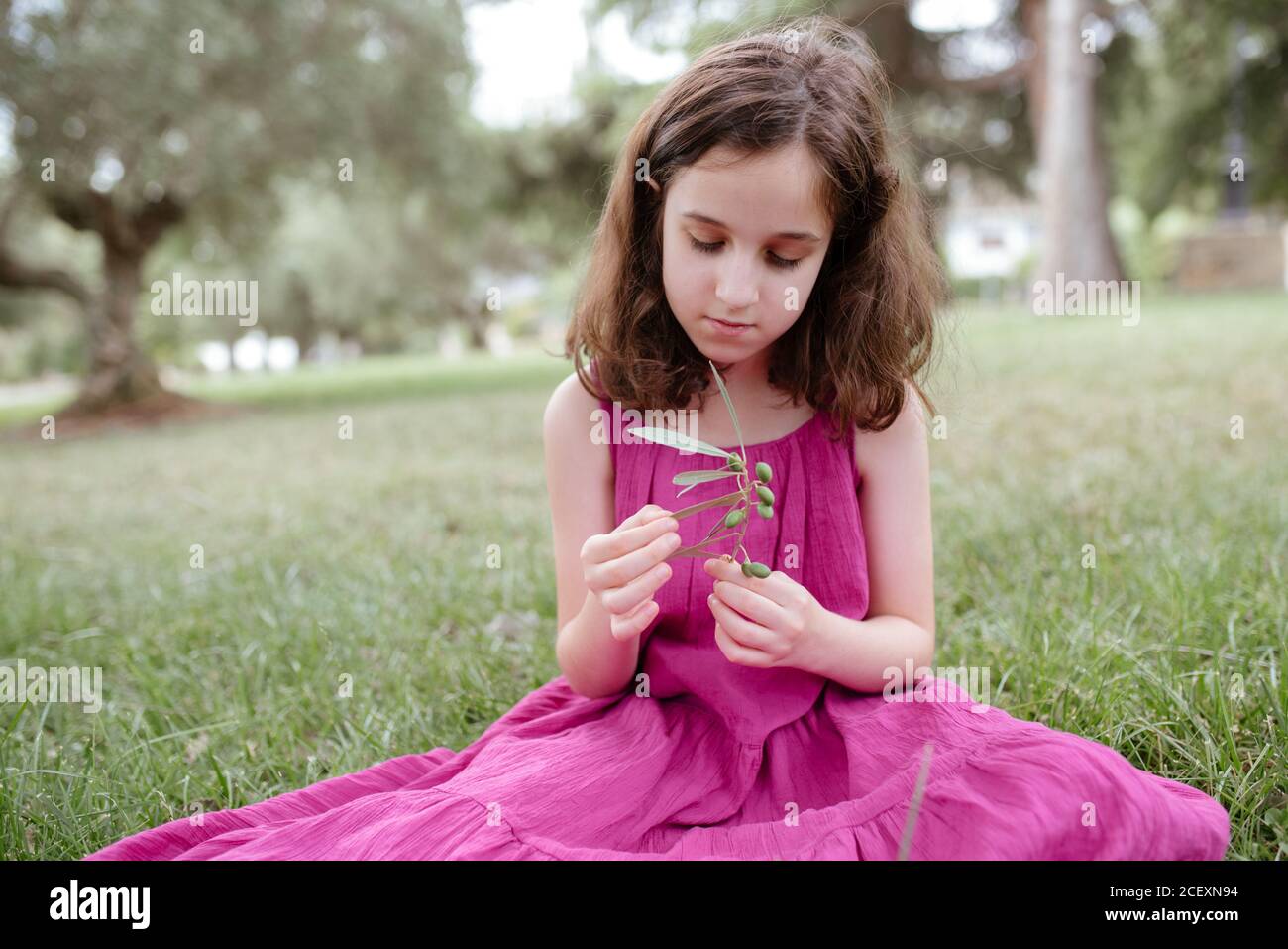 Adorabile e tranquilla presetina ragazza con capelli ricci che indossano  estate rosa vestirsi tenendo verde sprig mentre si siede sul prato verde  dentro parco estivo Foto stock - Alamy