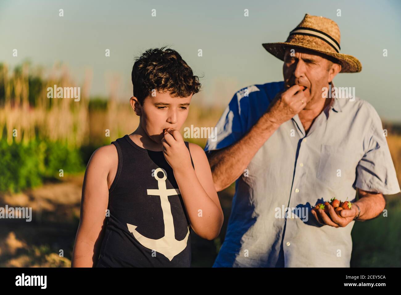 Presepe ragazzo con nonno che mangia fragola dolce matura appena raccolta mentre si passa il tempo insieme in giardino estivo in campagna Foto Stock