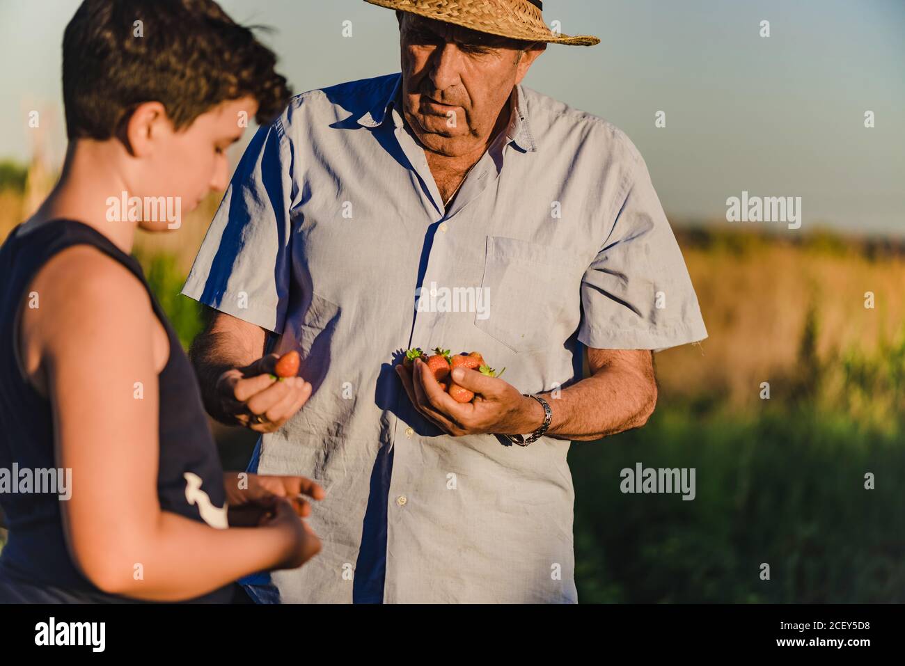 Presepe ragazzo con nonno che mangia fragola dolce matura appena raccolta mentre si passa il tempo insieme in giardino estivo in campagna Foto Stock