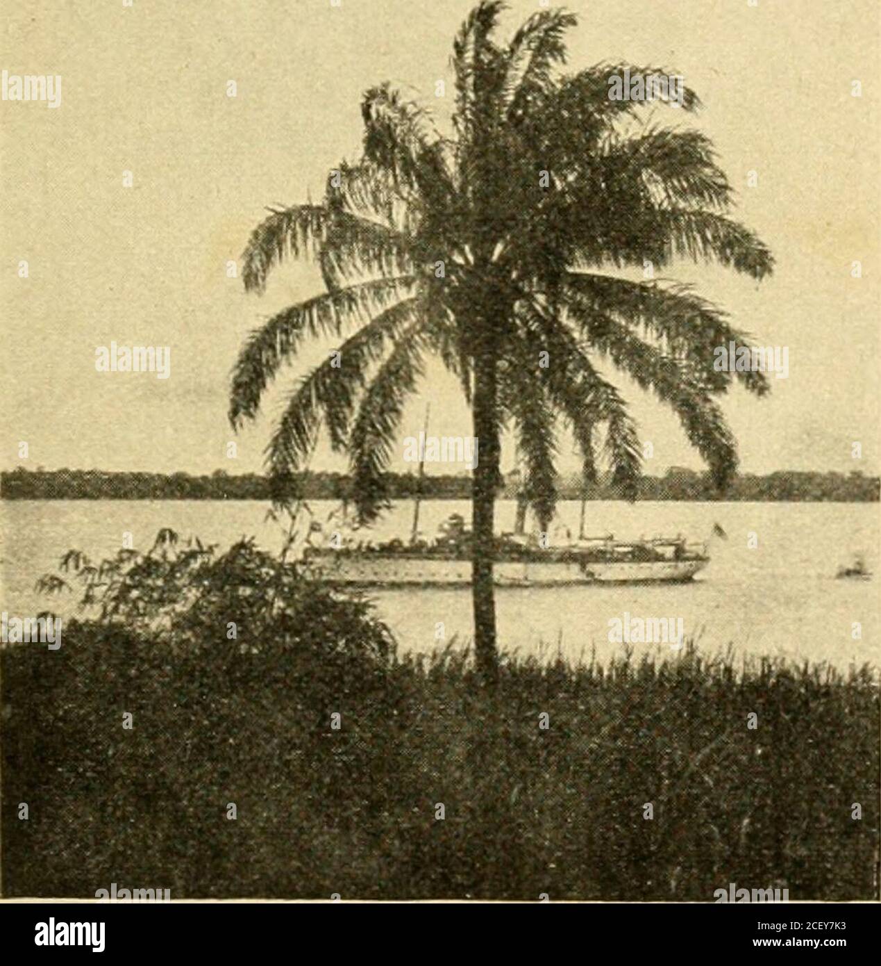 . Die kaufen im Bereichen im Bereichen und Ausland sowie sowie in den Schutzgebieten und Handel mit sowie sowie sowie sowie sowie sowie sowie. 9. 1898„ 2. 10. 18i)8 bis 1. 12. 1898,. 15. 4. 1999 bis Auf. 6. 1899 V fino a 22. 1899 Nr. 13 S. M. S. „Hyäne vom Juni 1807 bis Ende Juh 1897., 13 Dampfer „Adolf Woermann im November 1900vom 25. 12. 1897 fino a 30. 1898 vom ü. 10. 1898 fino a 22. 4. 18996. 11. 1899 bis 1. 4. 1900 11. 10. 1900 bis fine 4. 1901 „ 24 Dampfer „Lulu Bohlen vom 26. Ottobre 1898 bis 1. 1898 novembre„ 37 S. M. S. „Nixe vom 18. Dicembre 1897 fino al 12. 1898 Auf Marken der Seliiflszeiehnnnnsr sind möglich: 22 S. M. S. Foto Stock