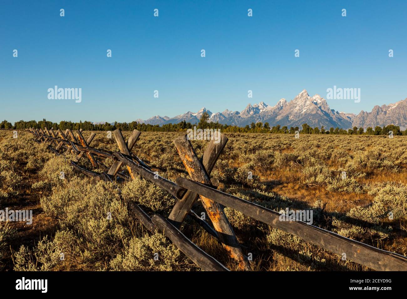 Recinzione di guida divisa con gelo di mattina su esso che corre attraverso Un campo di salvia di fronte alle montagne di Teton in Parco nazionale di Grand Teton Foto Stock