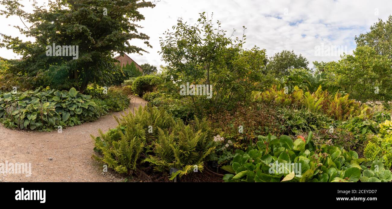 RHS Hyde Hall giardino paesaggio Foto Stock