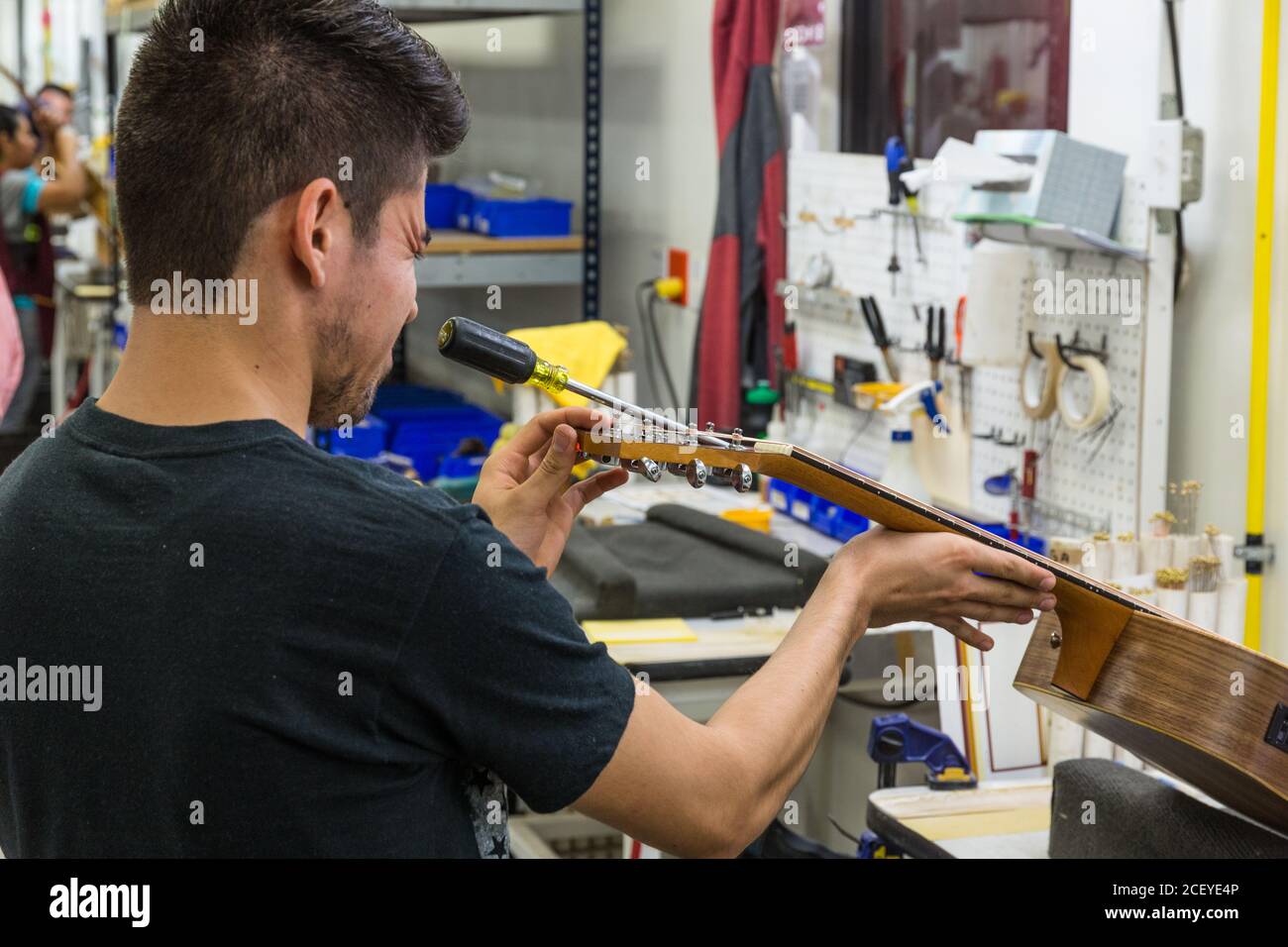 Lavoratori che costruiscono e assemblano chitarre presso la fabbrica di chitarra Taylor di Tecate, Messico. Questo lavoratore sta regolando la barra del traliccio nel collo della chitarra. Foto Stock