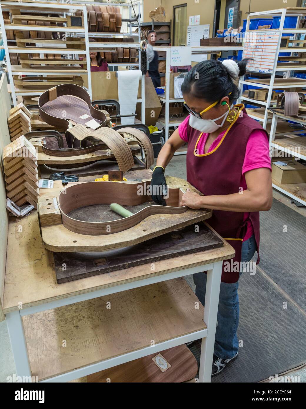 Lavoratori che costruiscono e assemblano chitarre presso la fabbrica di chitarra Taylor di Tecate, Messico. Questo lavoratore sta incollando insieme le metà del corpo della chitarra. Foto Stock