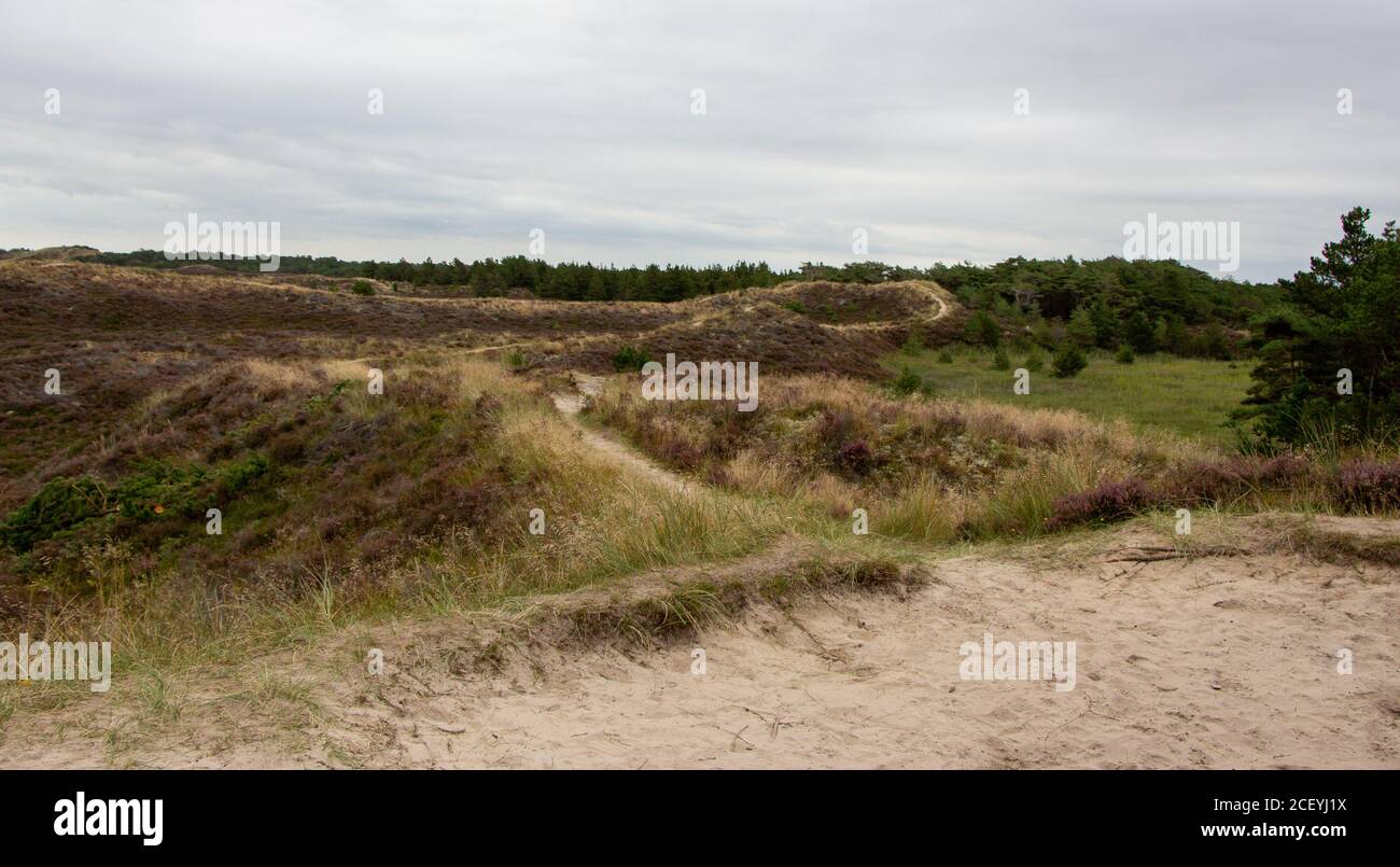 Bunker della guerra mondiale sull'isola danese Romo, Danimarca Foto Stock