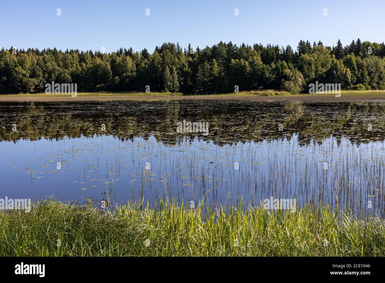 Vista sul lago a Hauho, Finlandia Foto Stock