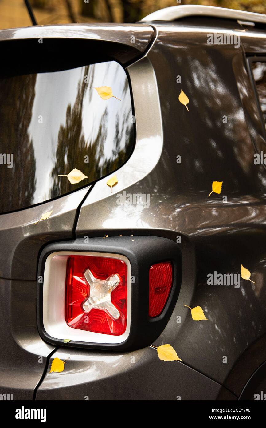 Primo piano di foglie autunnali caduti su faro rosso e carrozzeria dell'auto. Stagione autunnale. Foto Stock