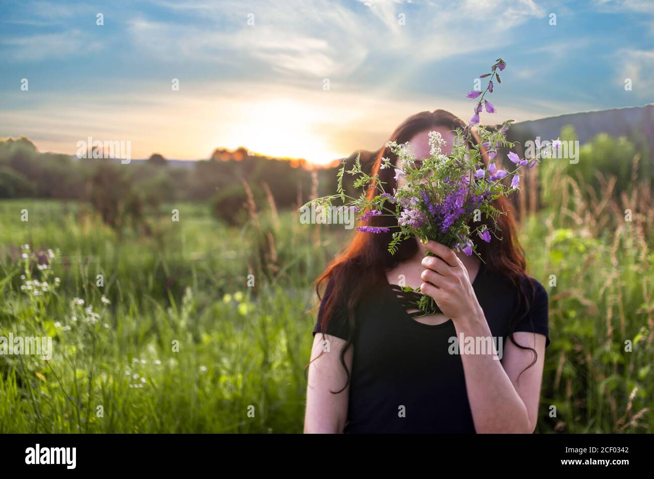 Giovane ragazza che cammina con fiori di foresta viola in mani e. nascondendo il suo volto in bouquet sullo sfondo del tramonto Foto Stock