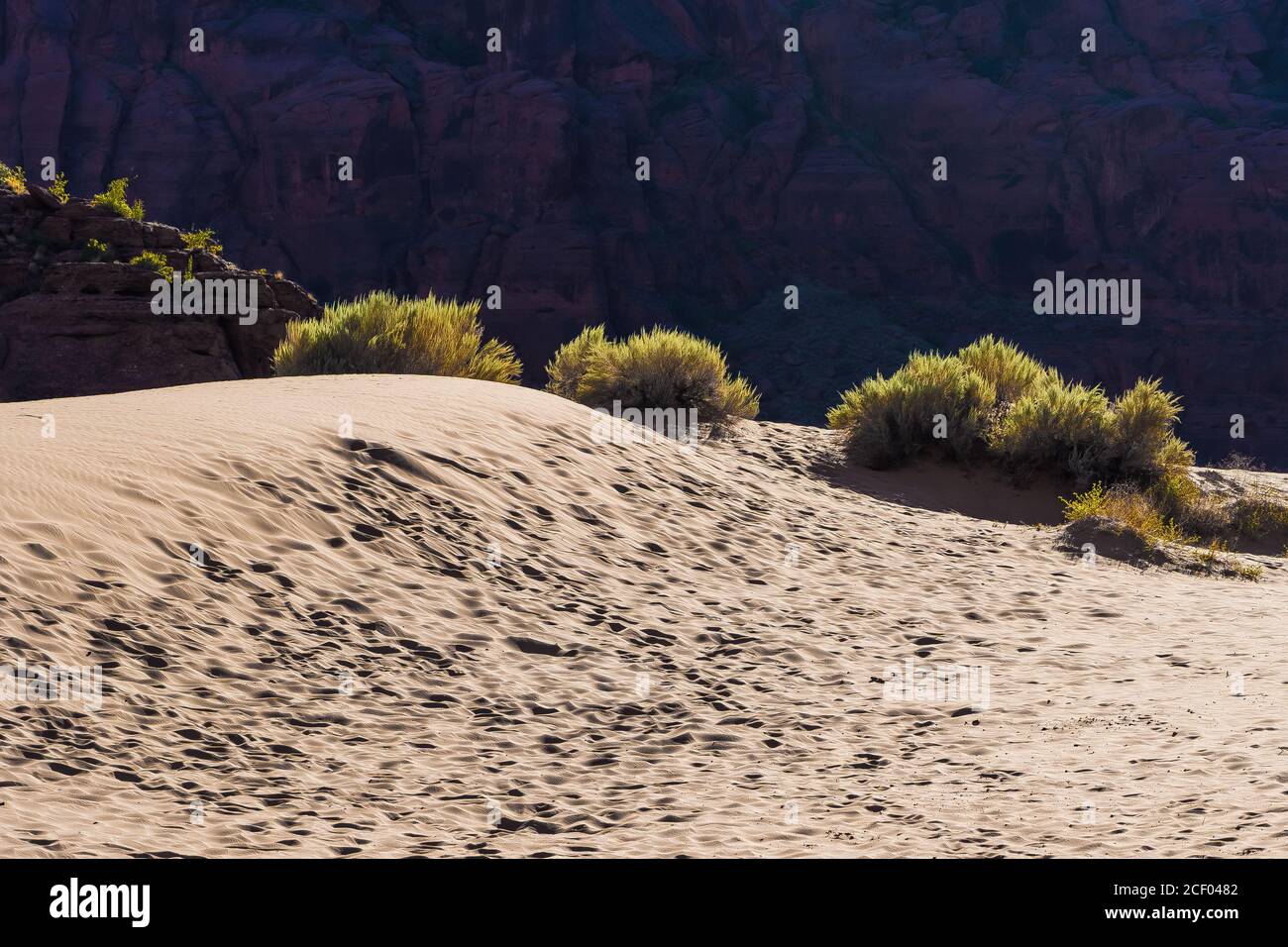 Dune di sabbia presso lo Snow Canyon state Park, Ivins, Utah, USA Foto Stock