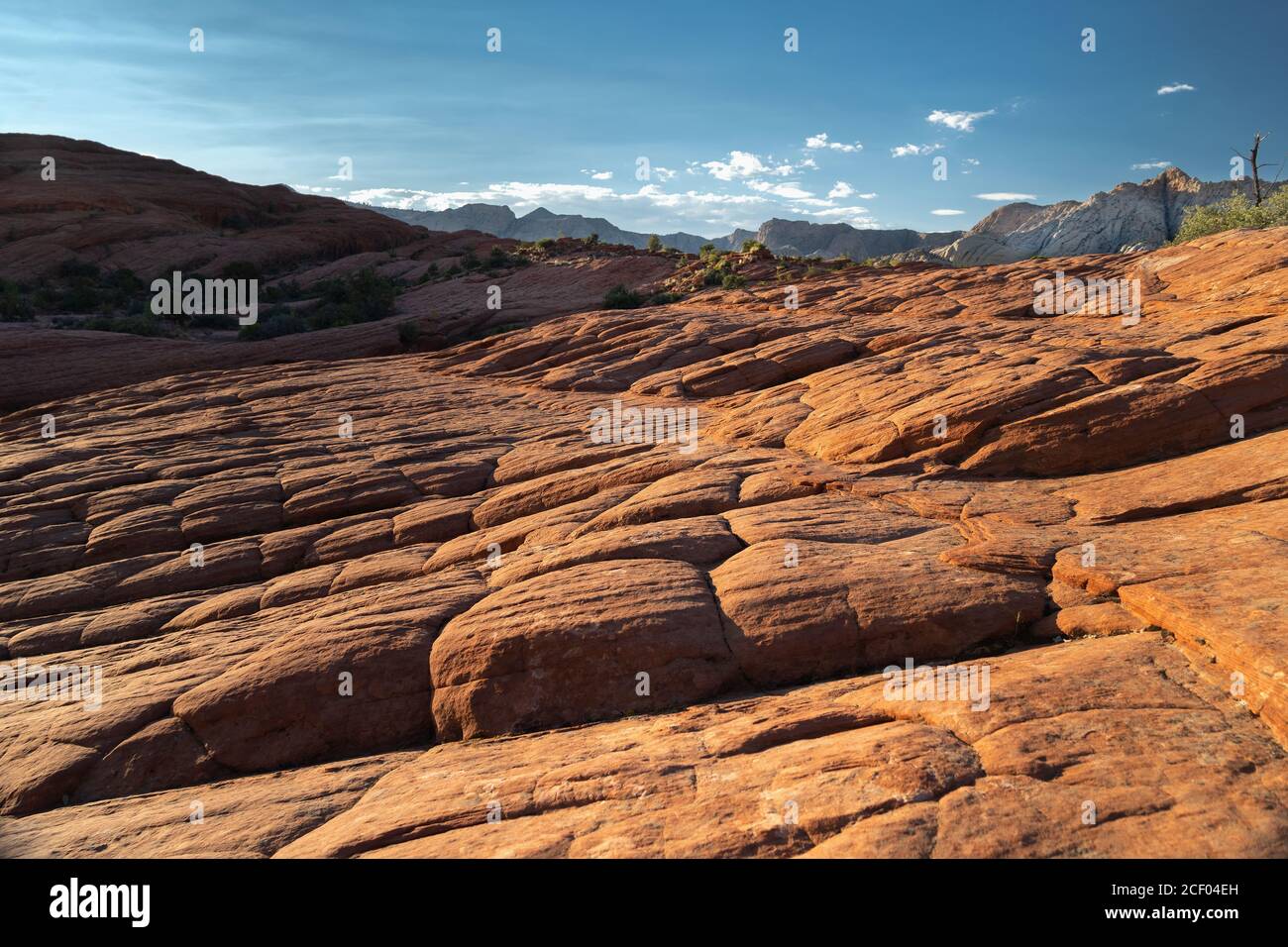 Dune pietrificate presso lo Snow Canyon state Park, Ivins, Utah, USA Foto Stock