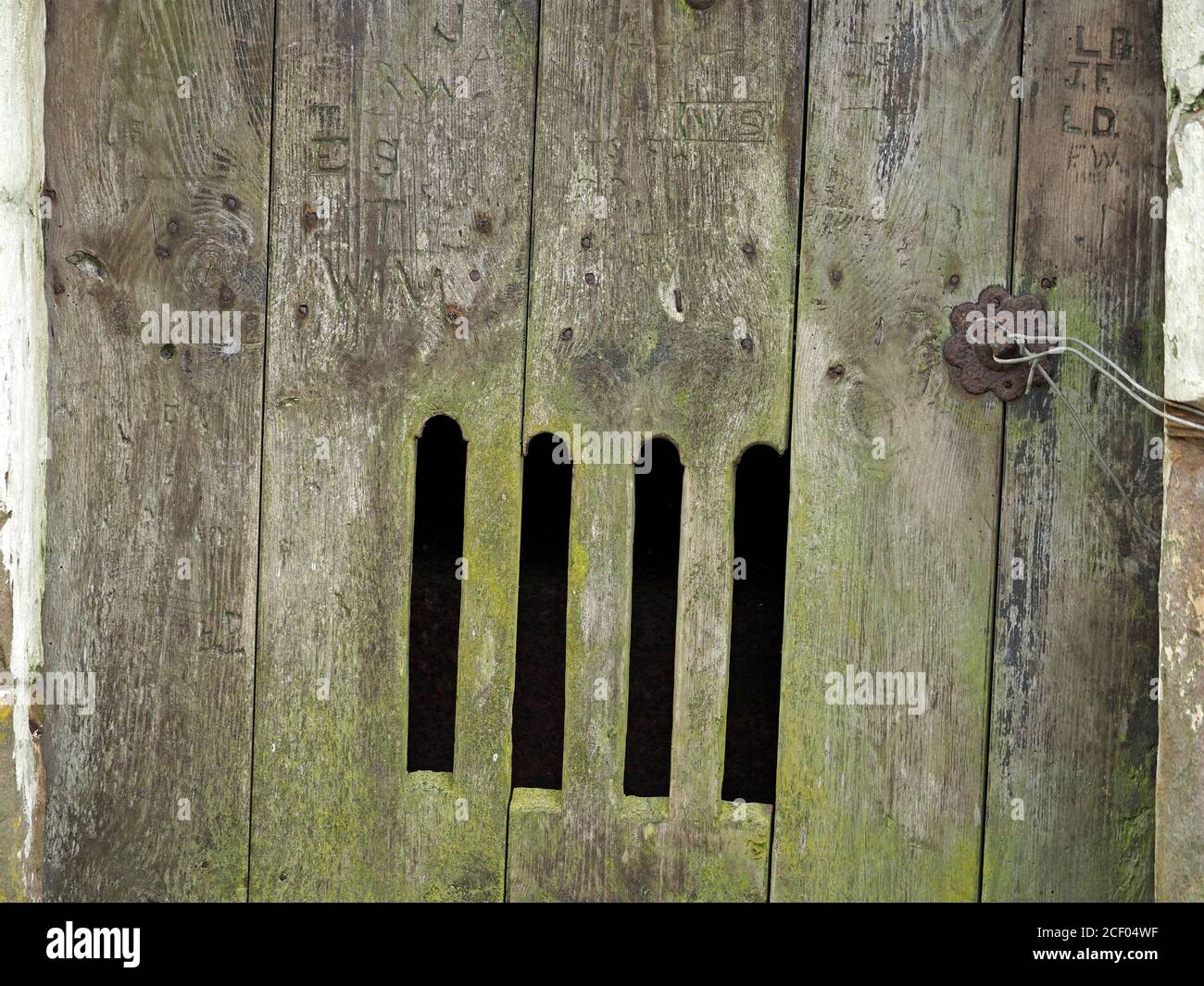 Antica porta di fienile in legno tradizionale con sculture storiche, 4 asole aperte ad arco, maniglia rustica e lichene in grano di legno - Cumbria, Inghilterra UK Foto Stock