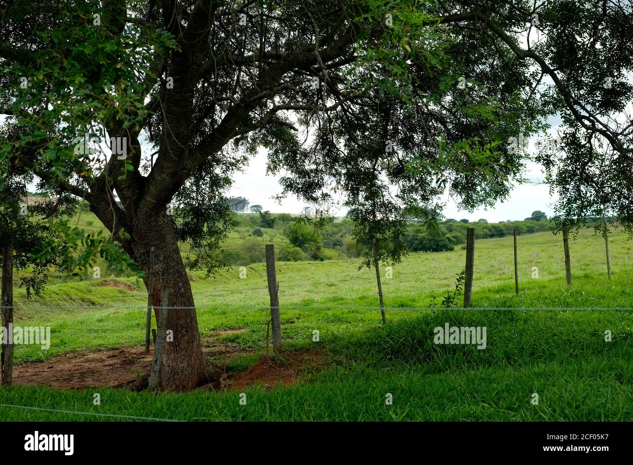 Scena rurale con recinzione in Brasile Foto Stock