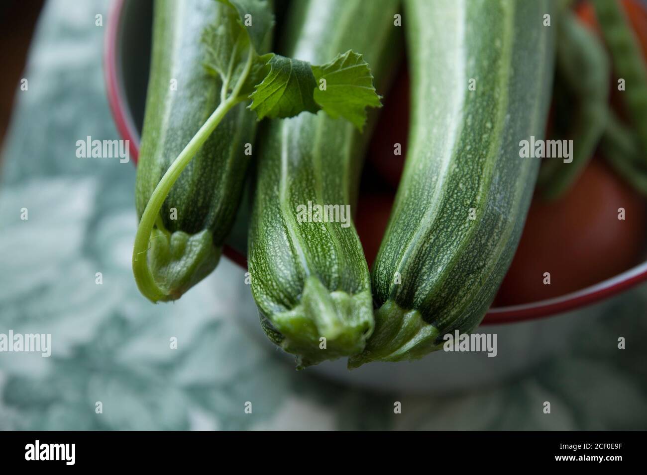 Tre zucchine coltivate in casa in una ciotola sul tavolo. Foto Stock