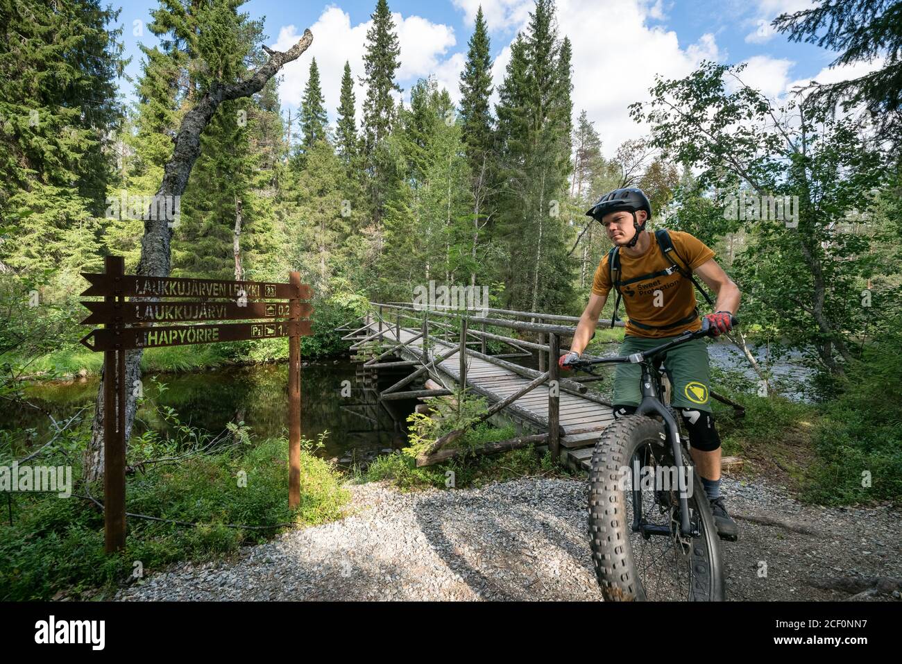 Mountain bike nel Parco Nazionale di Hossa, Finlandia Foto Stock
