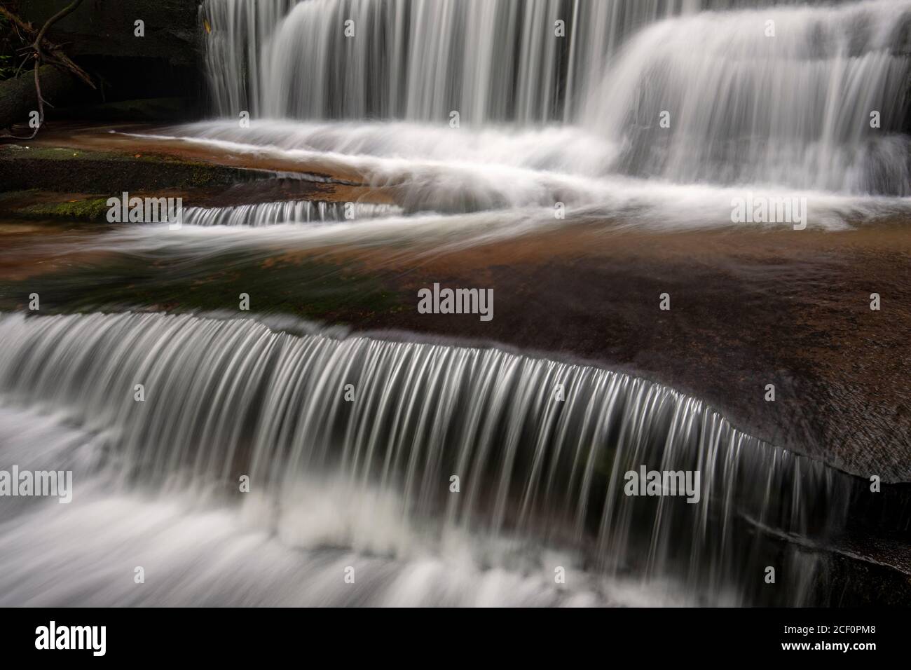 Moody a lunga esposizione sfocia in acqua alle cascate di Gogan Creek - Butter Gap Trail, Pisgah National Forest, vicino a Brevard, North Carolina, USA Foto Stock