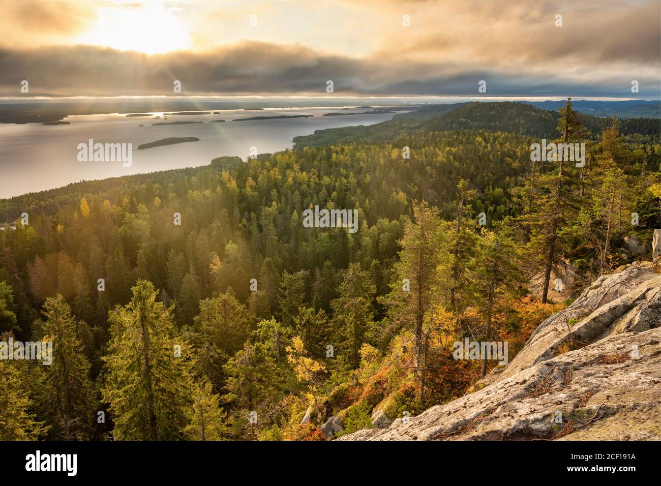 Bellissimo paesaggio naturale nel parco nazionale di Koli in Finlandia Foto Stock